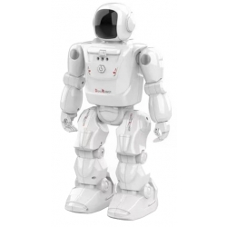 Interaktywny Robot Devo RC2108 zdalnie sterowany Kontrola gestami Programowanie